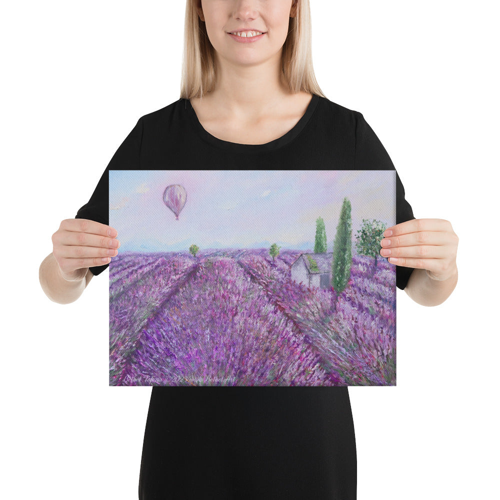 Lavender Field (Canvas)