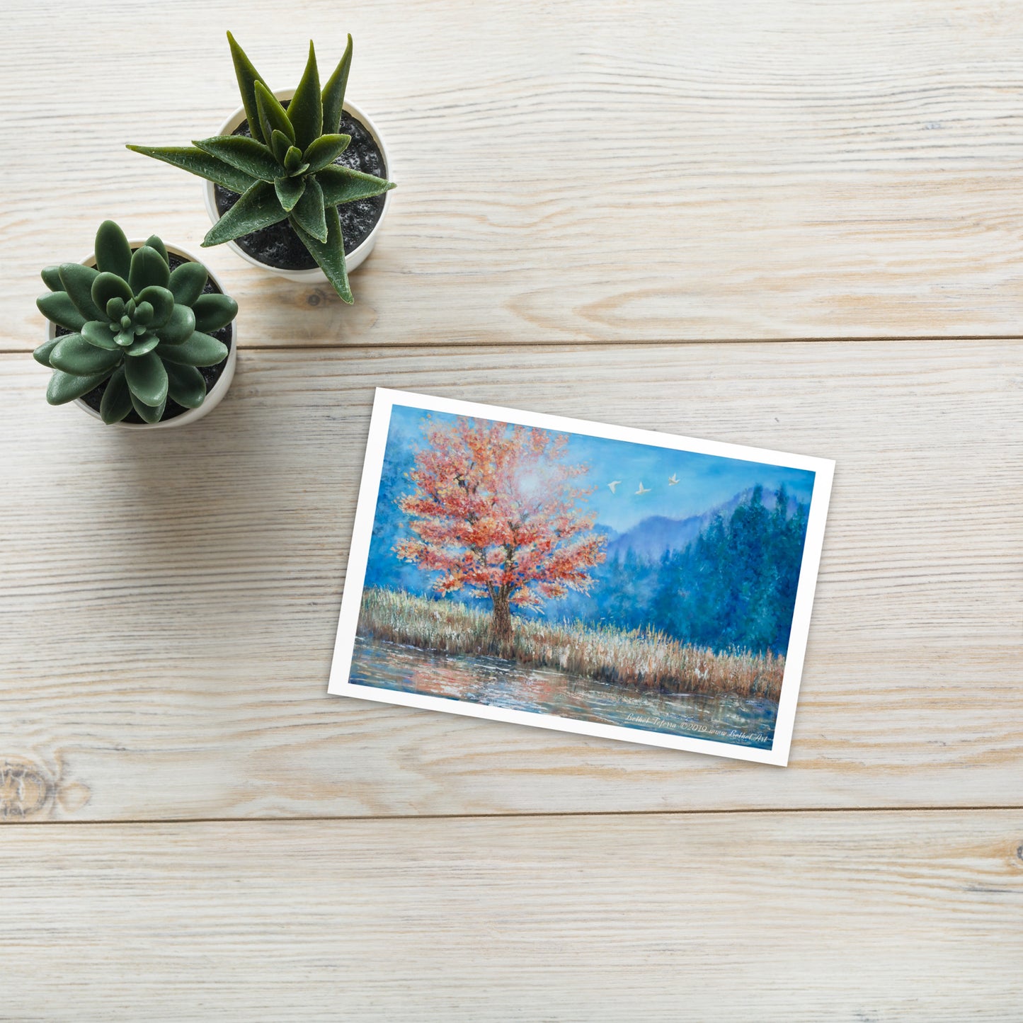 Blessed & Favoured (Postcard)