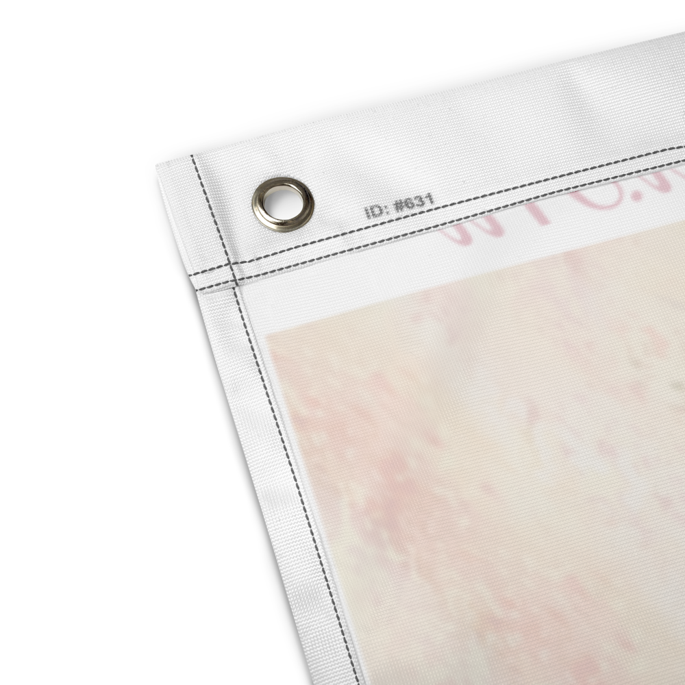 Flag -- Rise on Wings (Flag)