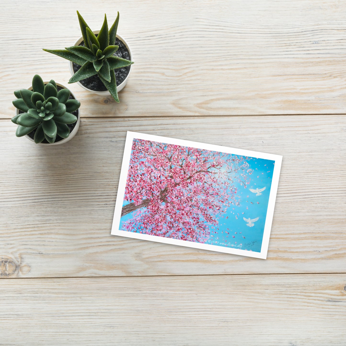 Standard Postcard