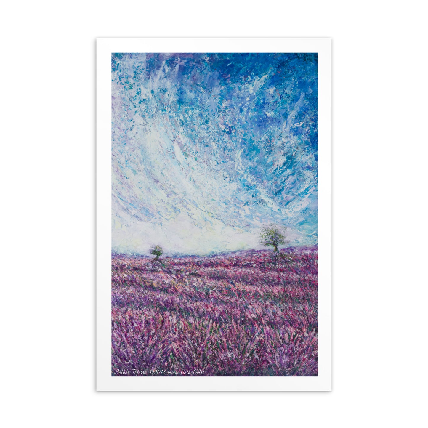 Fragrances (Postcard)