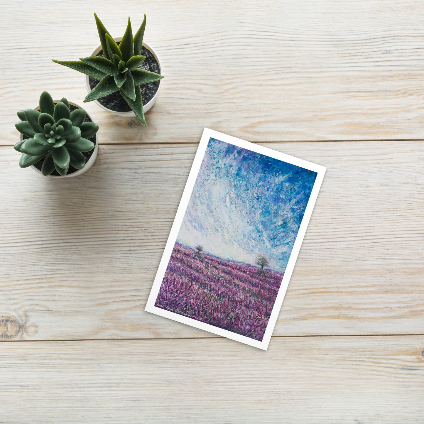 Fragrances (Postcard)